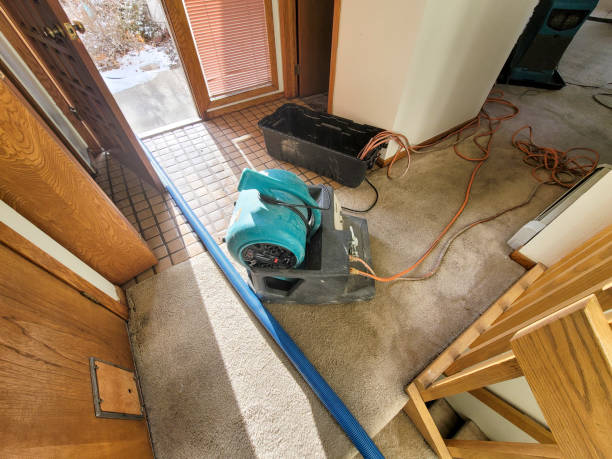 Best 24-hour water damage restoration  in Blaine, WA