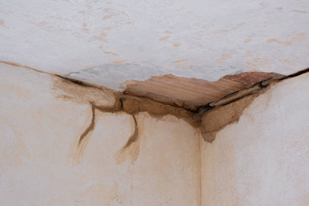Best Carpet water damage restoration  in Blaine, WA