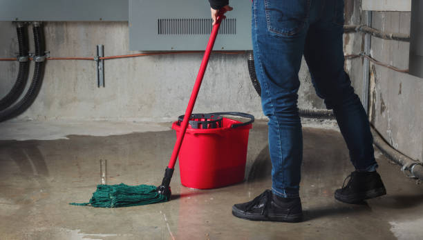 Best Emergency water extraction  in Blaine, WA