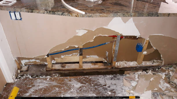 Best Fire Damage Restoration  in Blaine, WA