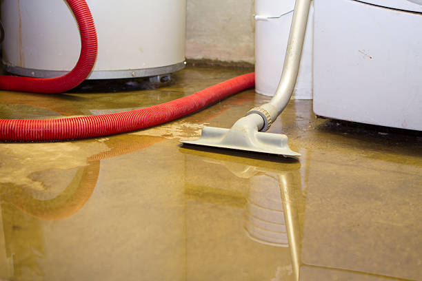 Reliable Blaine, WA Water damage restoration Solutions