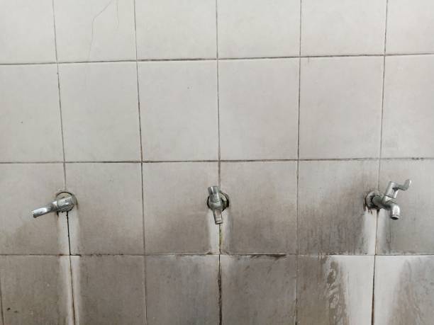 Best Water damage repair service  in Blaine, WA
