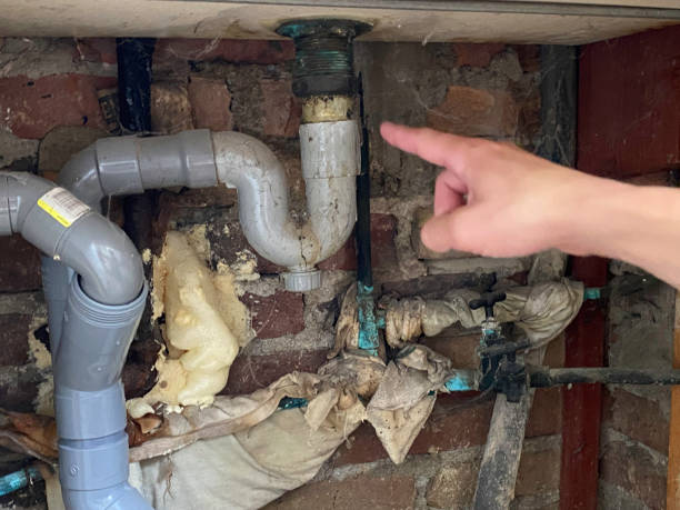 Best Residential water damage restoration  in Blaine, WA