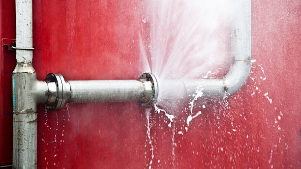 Best Commercial water damage restoration  in Blaine, WA