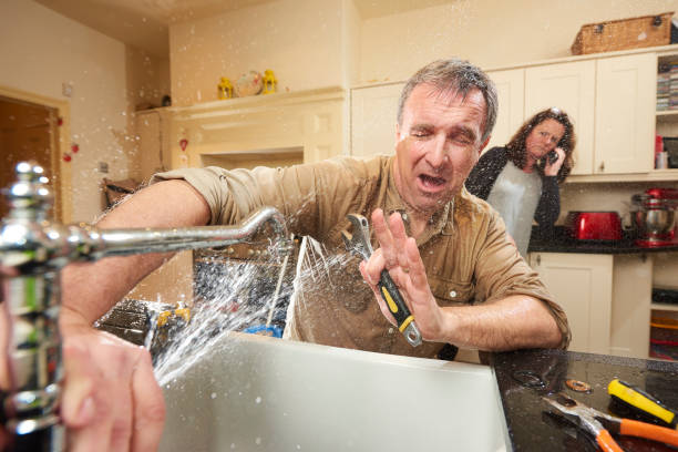 Best Flooded house restoration  in Blaine, WA